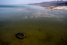 همکاری محققان دانشگاه تربیت مدرس و دانشگاه یوتا برای حفظ دریاچه ارومیه